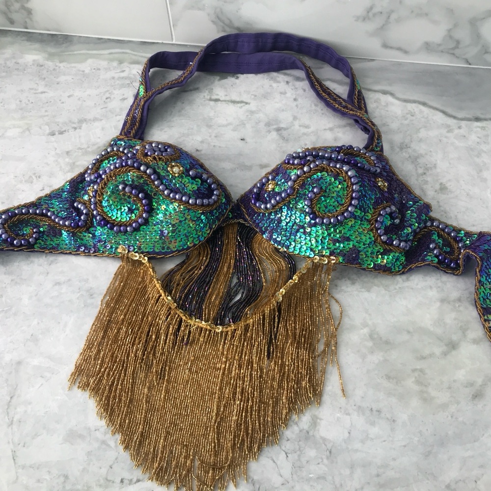 Purple, Green and Gold Fringe Belly Dance Costume